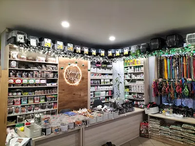 Raj Zwierzaka Sklep Zoologiczny